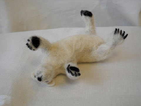 Polar Bear—Belly