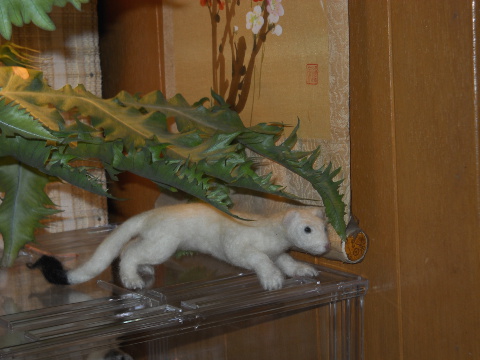 Ermine at Home
