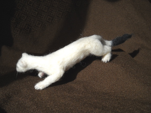 Ermine—Right Side