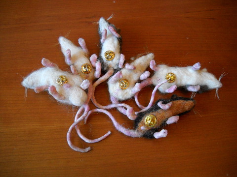 Mouse Litter 5