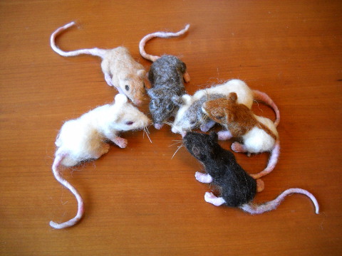 Mouse Litter 5