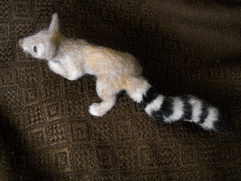 Ring-tailed Cat