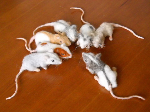 Mouse Litter 6: The Bright-Eyed Mice 