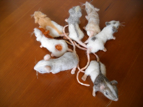 Mouse Litter 6: The Bright-Eyed Mice