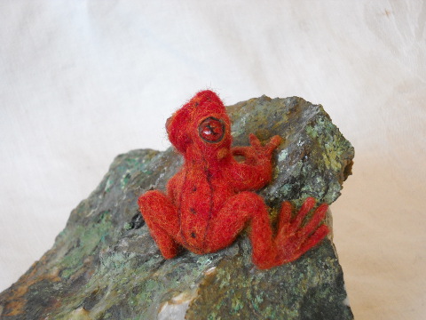 Red Frog – Update