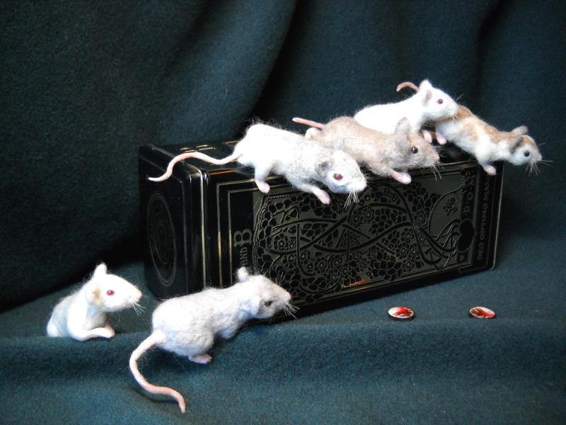 Mouse Litter 13 – The Mouse Adventurers