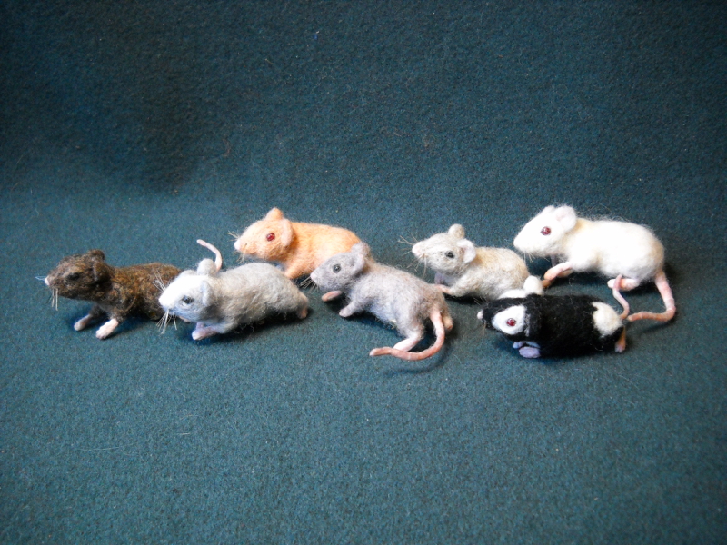 Mouse Litter 15 – The Tiny Feets Brigade