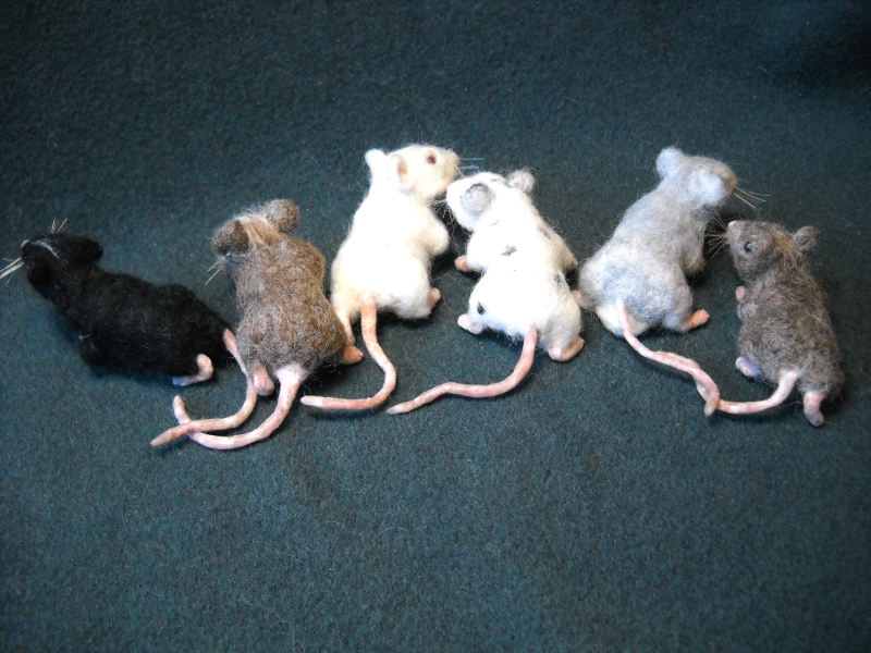 Mouse Litter 16 – The Left-Handed Mice