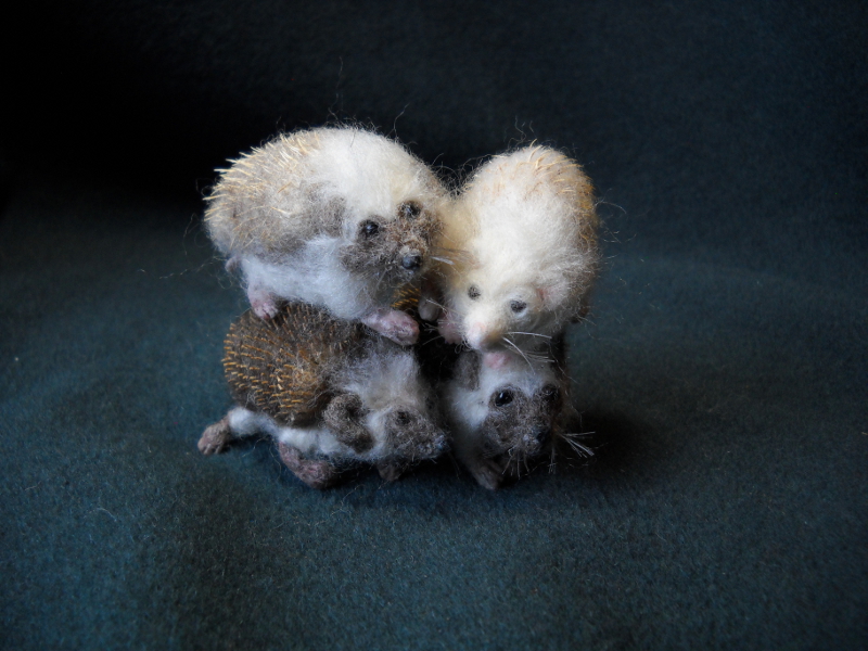 Hedgehogs Seven–Ten