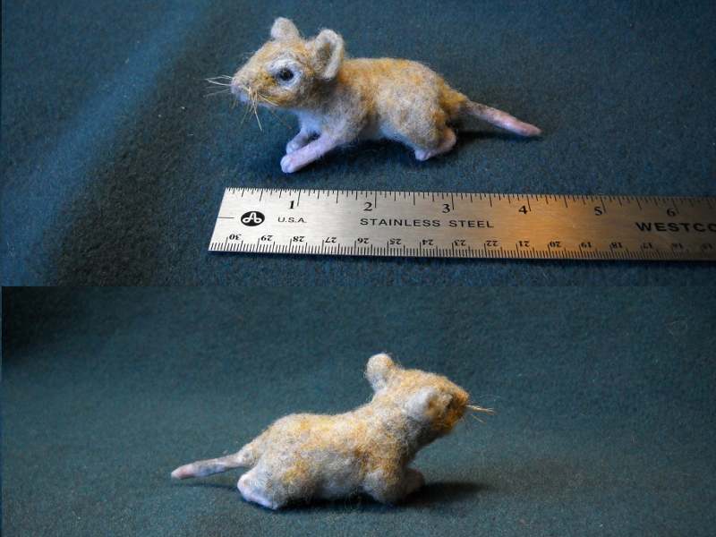 Mouse Litter 19 – Able G. Mouse