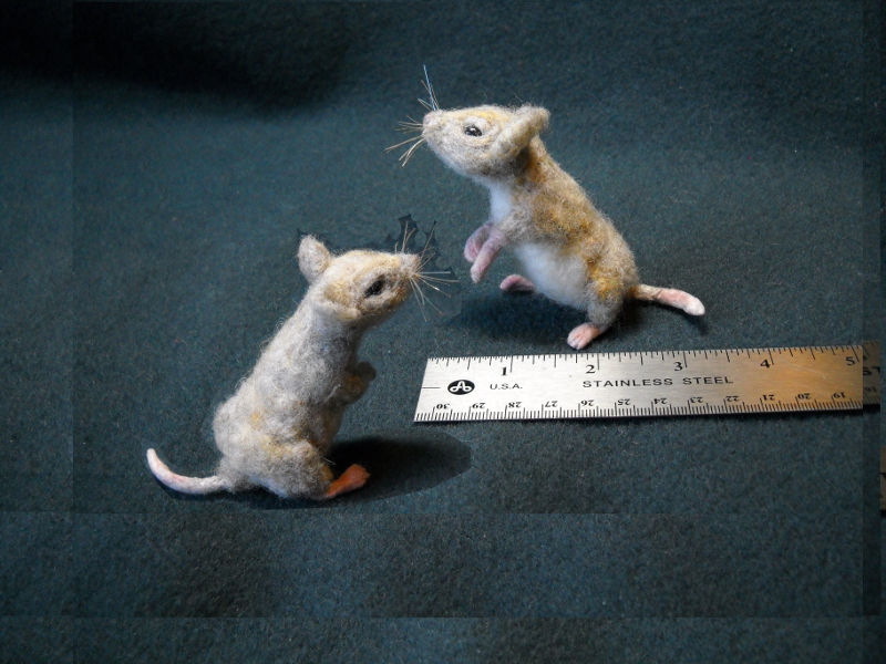 Mouse Litter 19 – Charlie G. Mouse