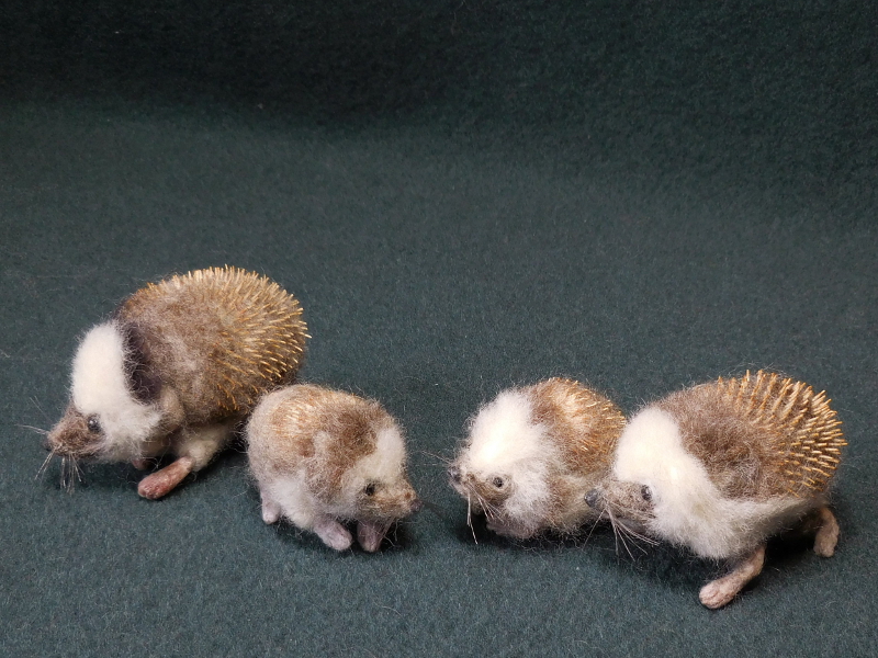 Hedgehogs 4