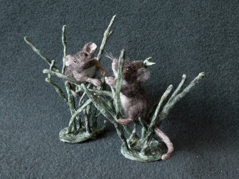 Salt Marsh Harvest Mice