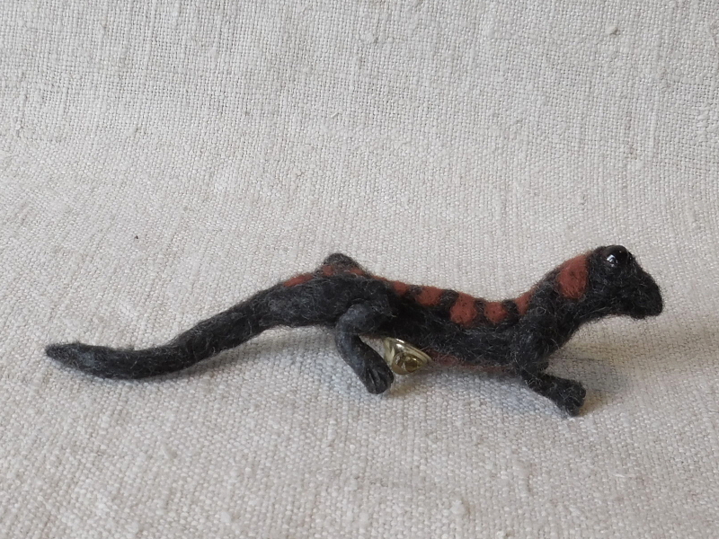 Black and Red Salamander