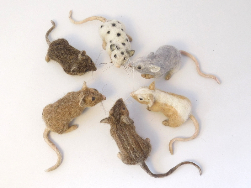 Mouse Litter 21 – The Mouse-Hide Brigade