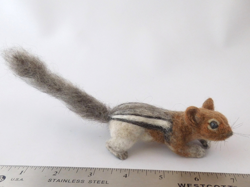 Golden-mantled Ground Squirrel 2 – Original