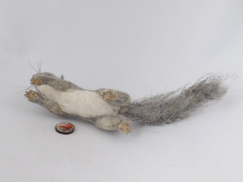 Gray Squirrel – Silktail 1