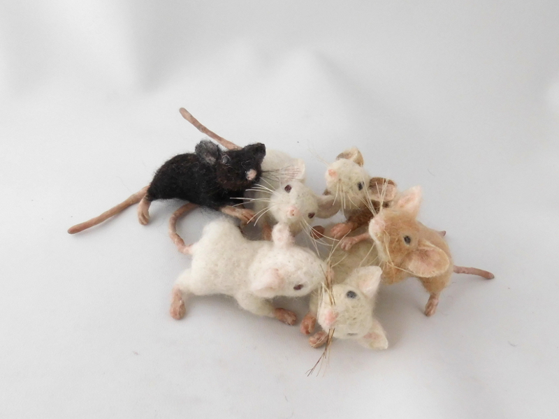 Mouse Litter 22 – Whiskers Wild