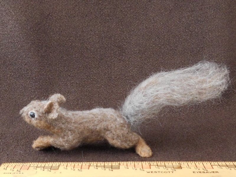Baby Fox Squirrel 3