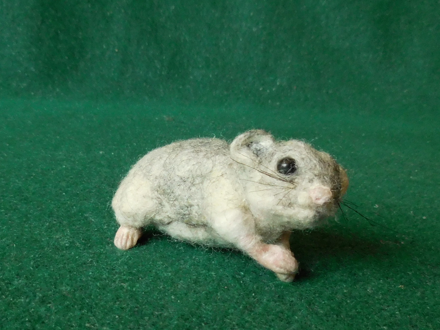 Westbound Hamster