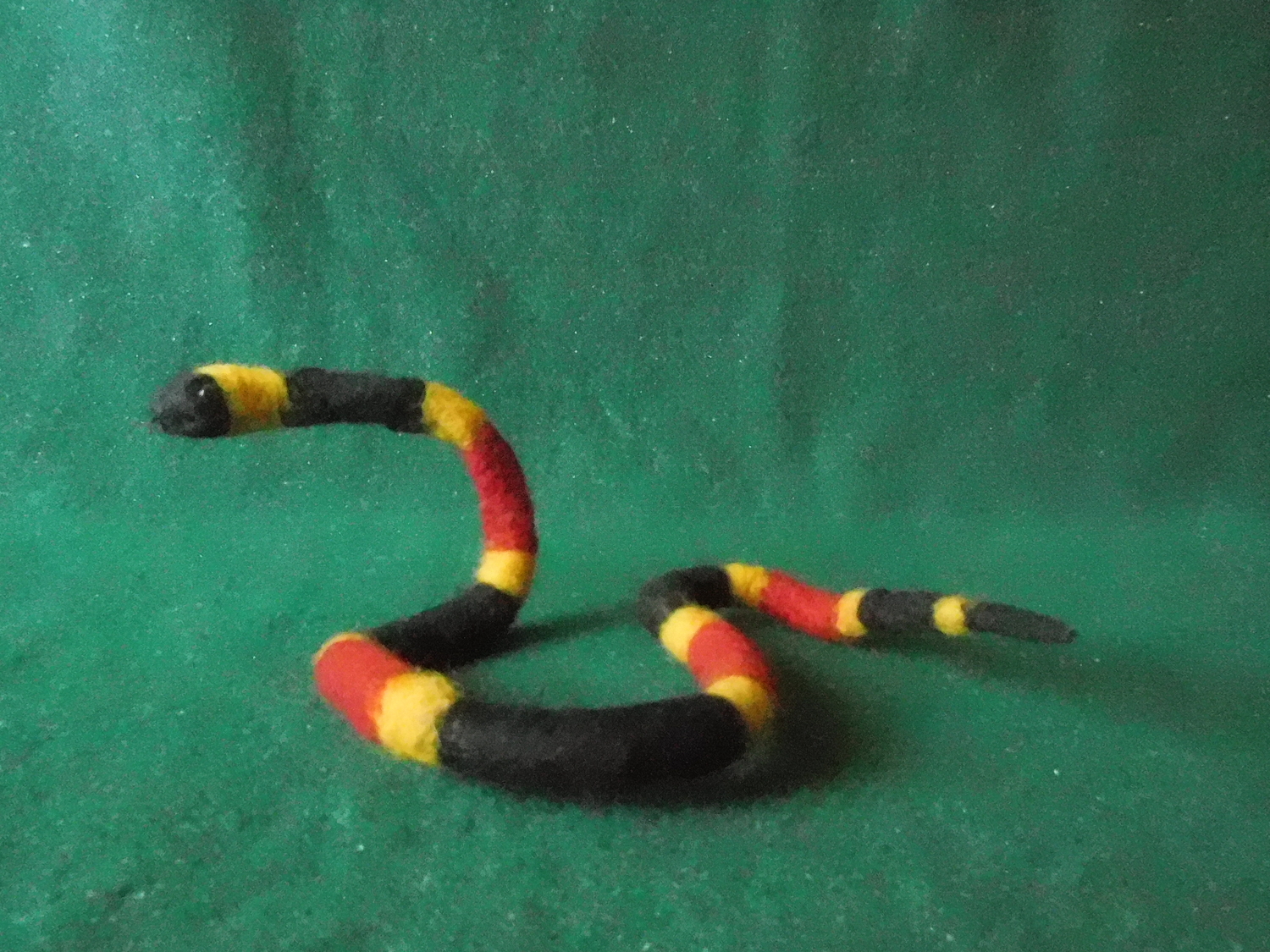 Coral Snake